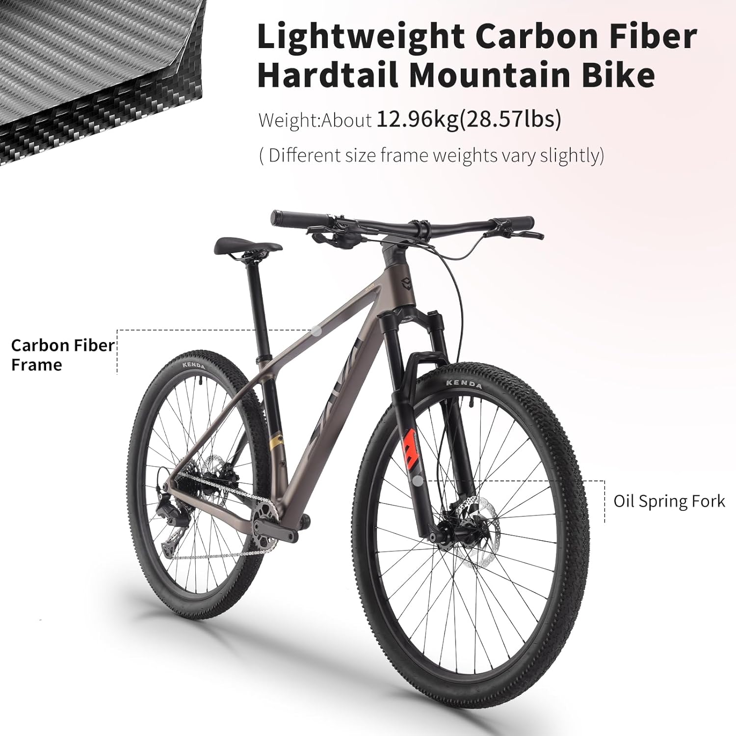 SAVADECK Carbon Fiber MTB with Shimano U6000 10 Speed Shift Groupset, Hydraulic Disc Brake with Shimano MT200 Break System