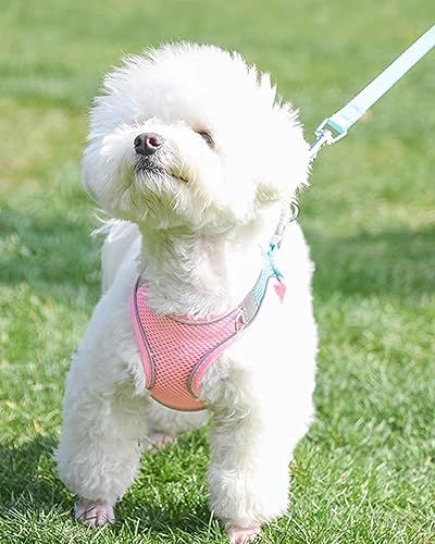 Miniatura 2 de Solmoony Arnés para perro para perros pequeños y medianos, fácil de poner, arnés de malla suave y juego de correa para gatitos y cachorros, arnés