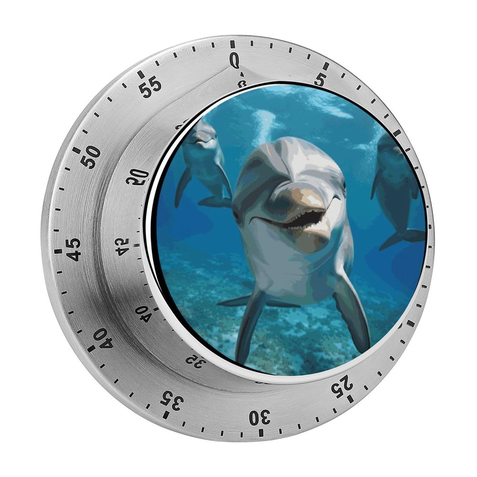 Funny Dolphin Looking at You Timers Adsorbable Stainless Steel Kitchen Timer Loud 60 Minute Visual Timer Portable Manual Countdown Timers Alarm Clock Time Management Tool for Home Work