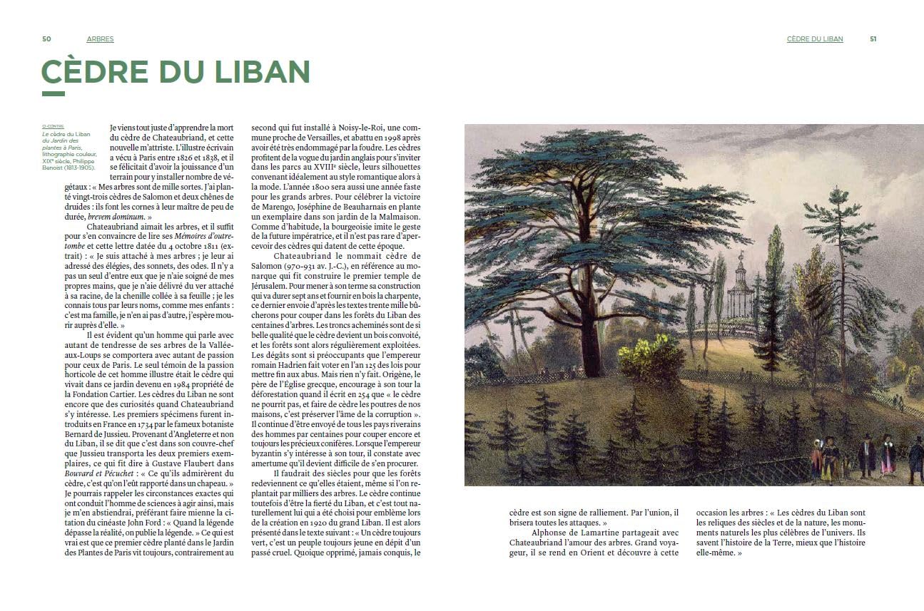 Le Dictionnaire amoureux illustré des Arbres