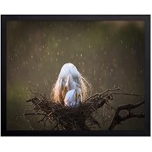 Monem Art Great Egret Rain Embrace Print - Wildlife Bird Photography Poster - Nature Wall Decor for Living Room, Bedroom or Office - 8x10 Unframed Wall Art by C. Mei
