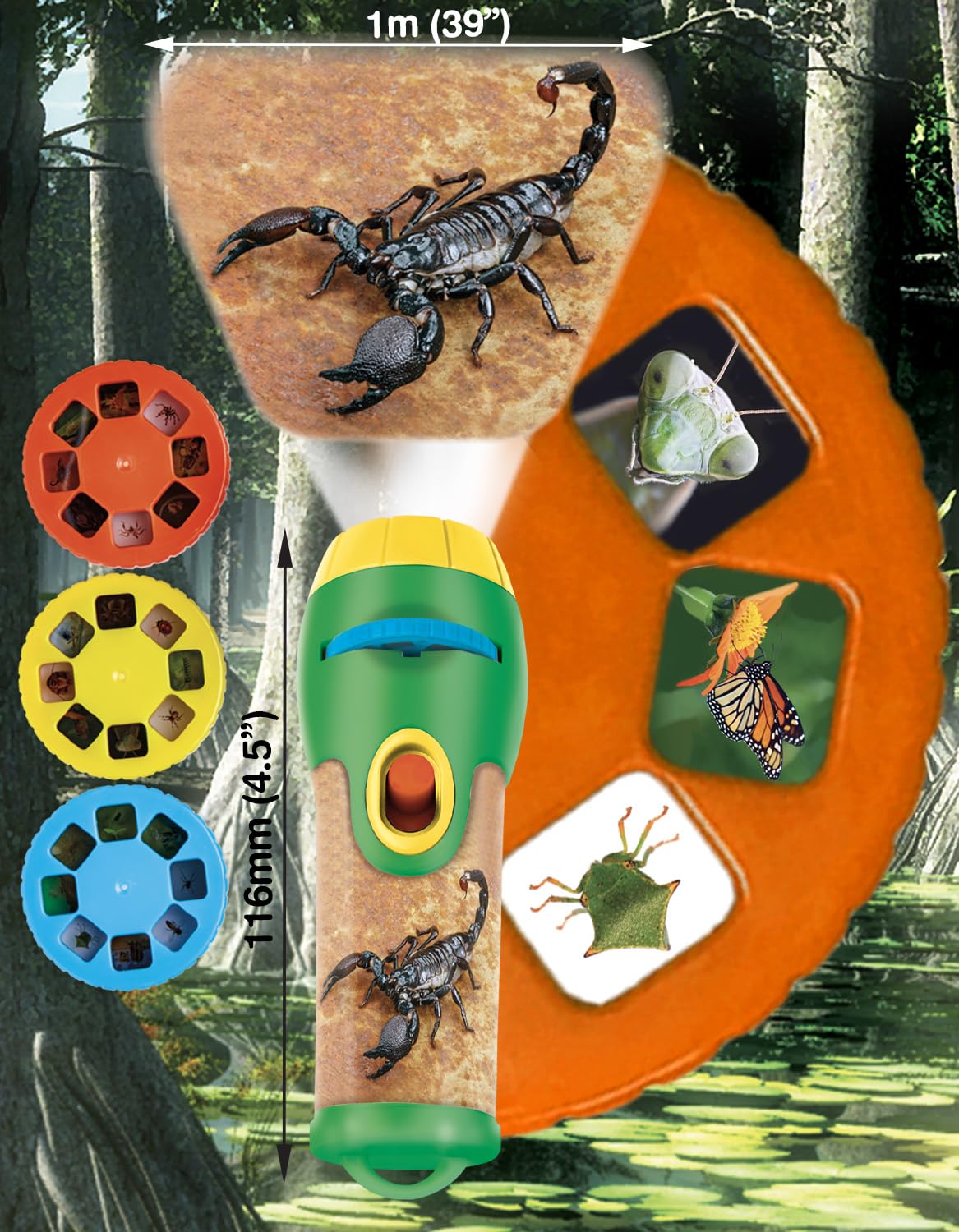 Natural History Museum Creepy Crawly Torch and Projector