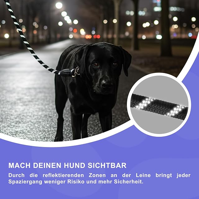 Foto 3 de 7 de Reichstadt Pets Correa Perros Nylon EVA 25RSP084 Black 1,5m