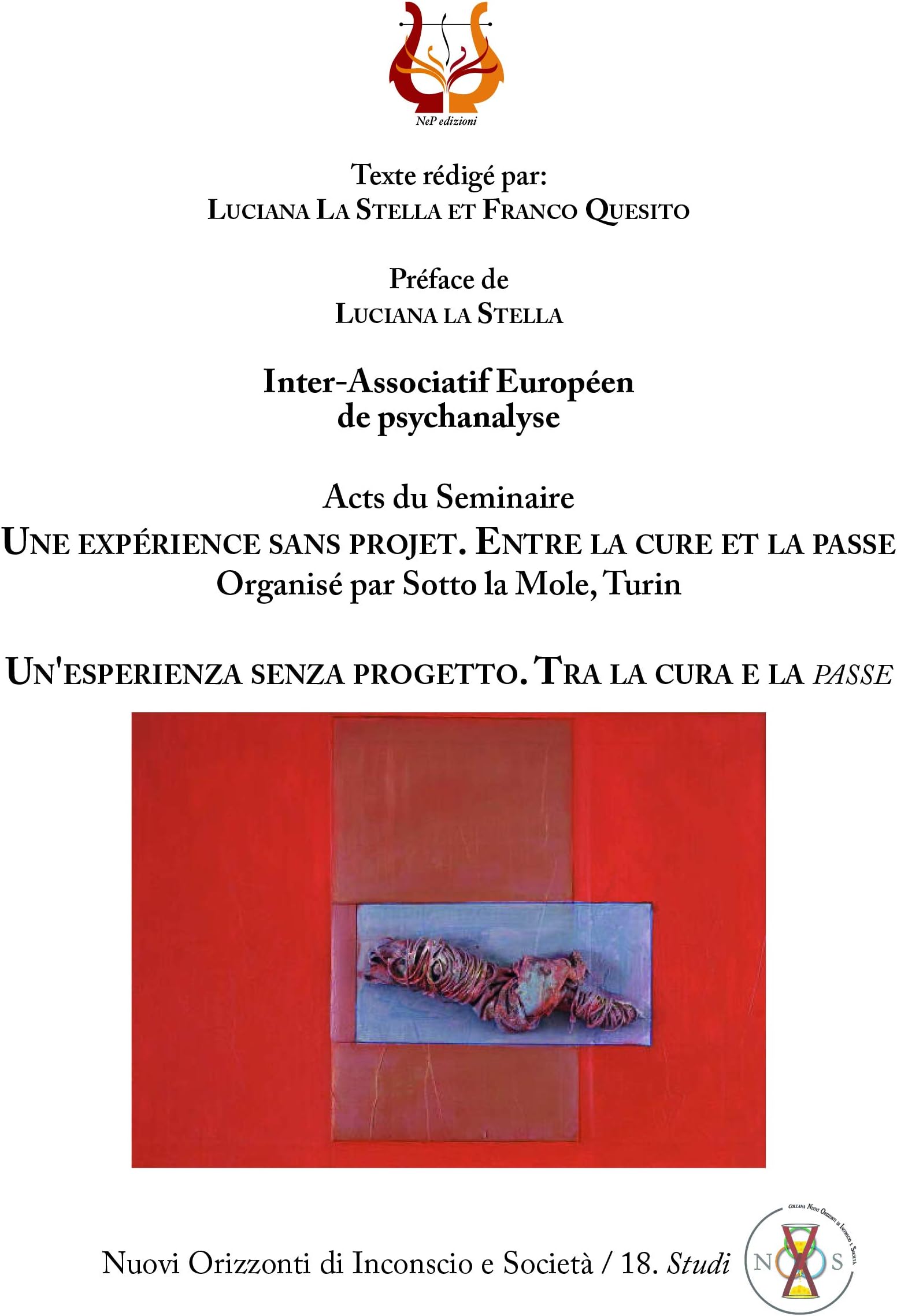Un'esperienza senza progetto. Tra la cura e la «passe»