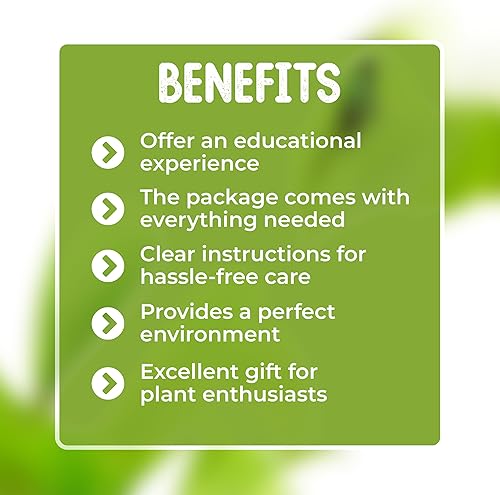 Vista 7 de Venus - Trampa para moscas con maceta de cristal elegante de 2.5 pulgadas, planta carnívora que come insectos - Plantas carnívoras suelo