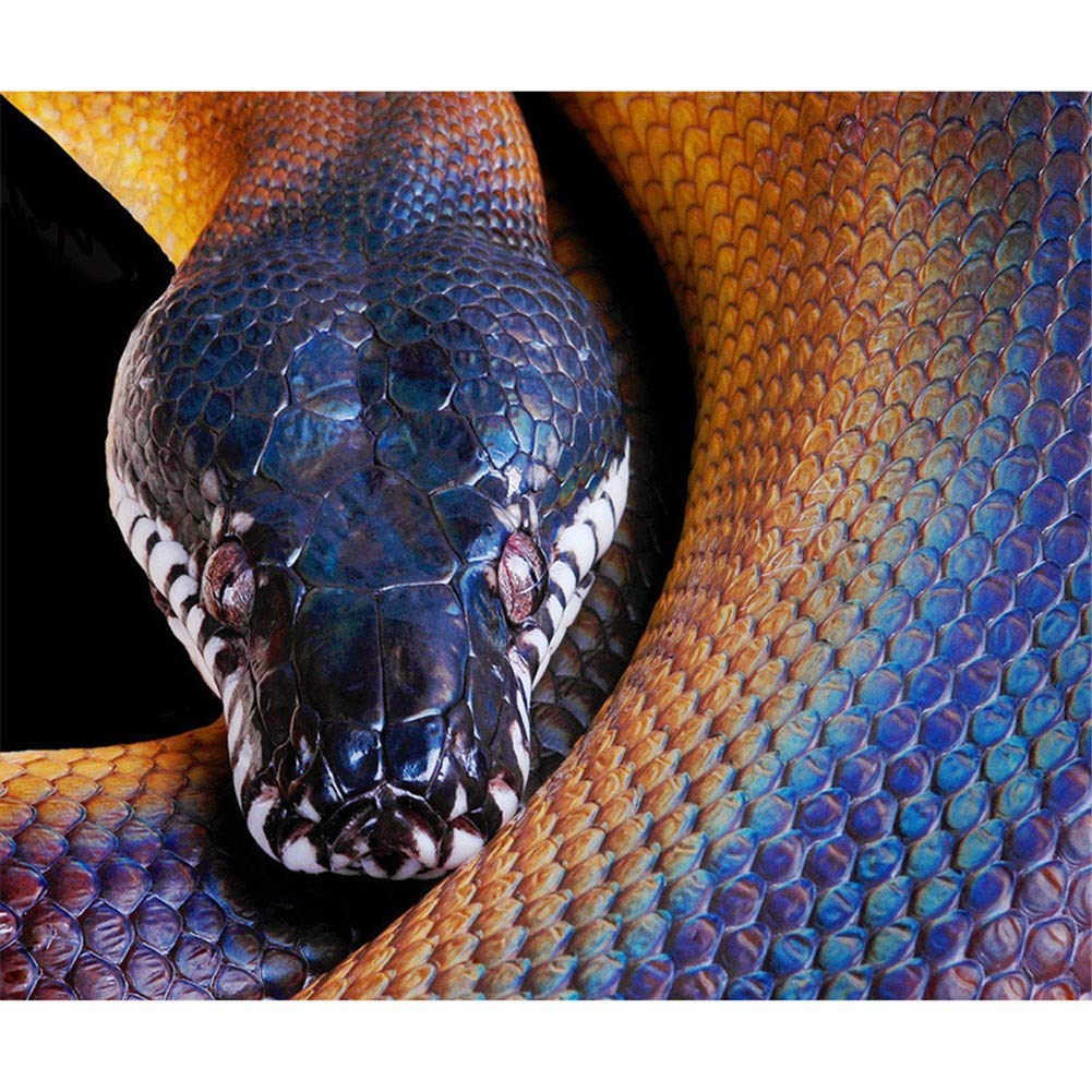 Diamond Painting Snake 50x70cm/20 * 28in Full Drill DIY 5D Diamond Embroidery for Adults/Kids Large Size Crystal Rhinestone Cross Stitch Handcraft Mosaic Canvas Wall Art Diamond Painting Decoration
