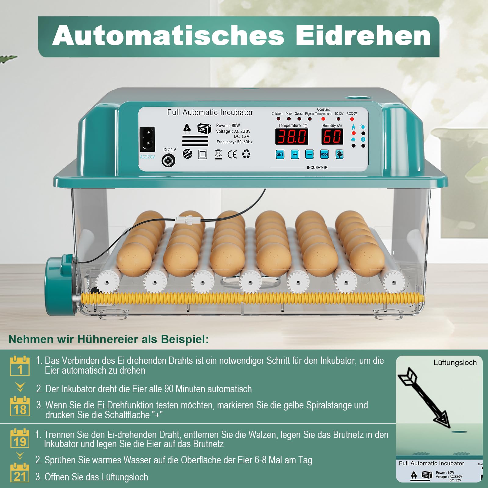 CoInceptus Brutautomat Vollautomatisch, Inkubator Hühner 24-36 Eier mit Automatischem Eierwenden und Automatischer Wasserzugabe, Brutkasten Hühner mit Vier Automatischen Inkubationsmodi