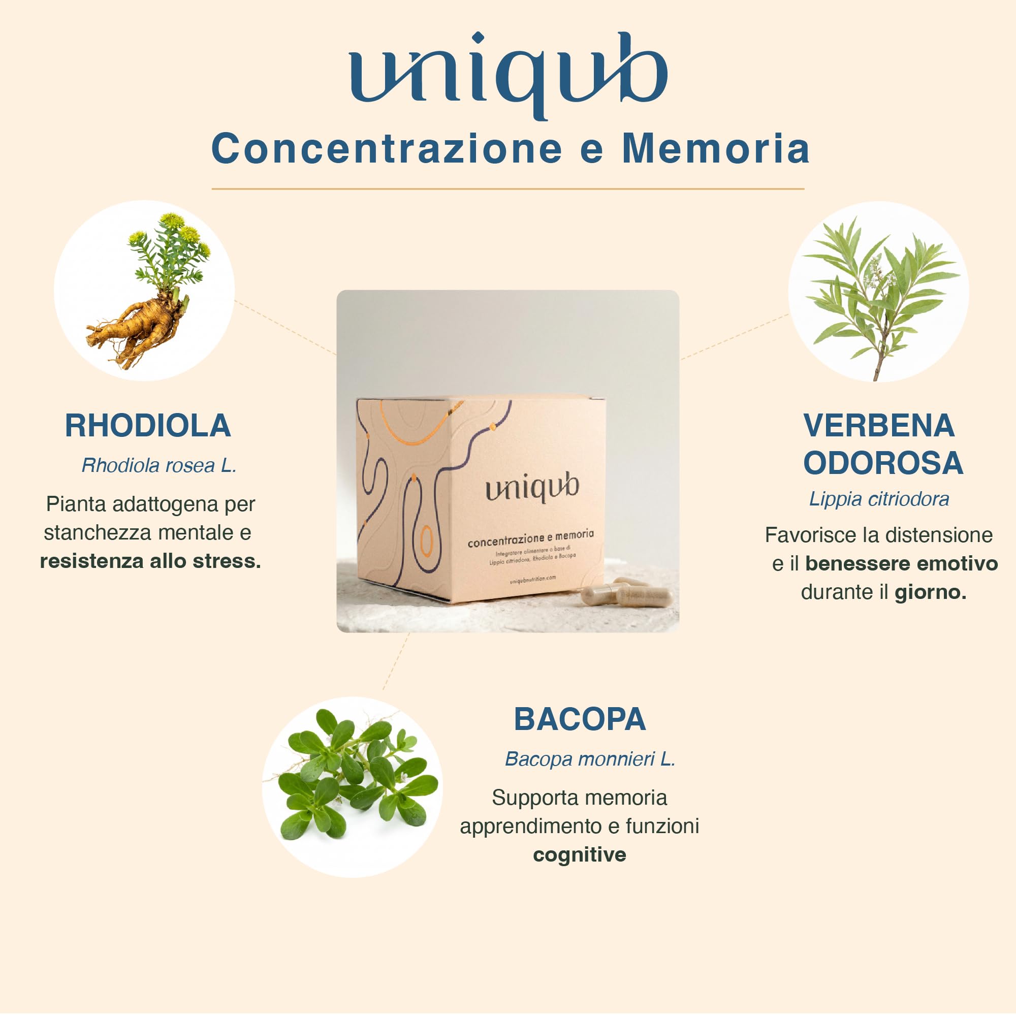 Integratore Concentrazione e Memoria Migliora l'umore Con Rhodiola Rosea Bacopa Monnieri Lippia Citriodora 60 capsule Vegetali 100% Naturale Uniqub