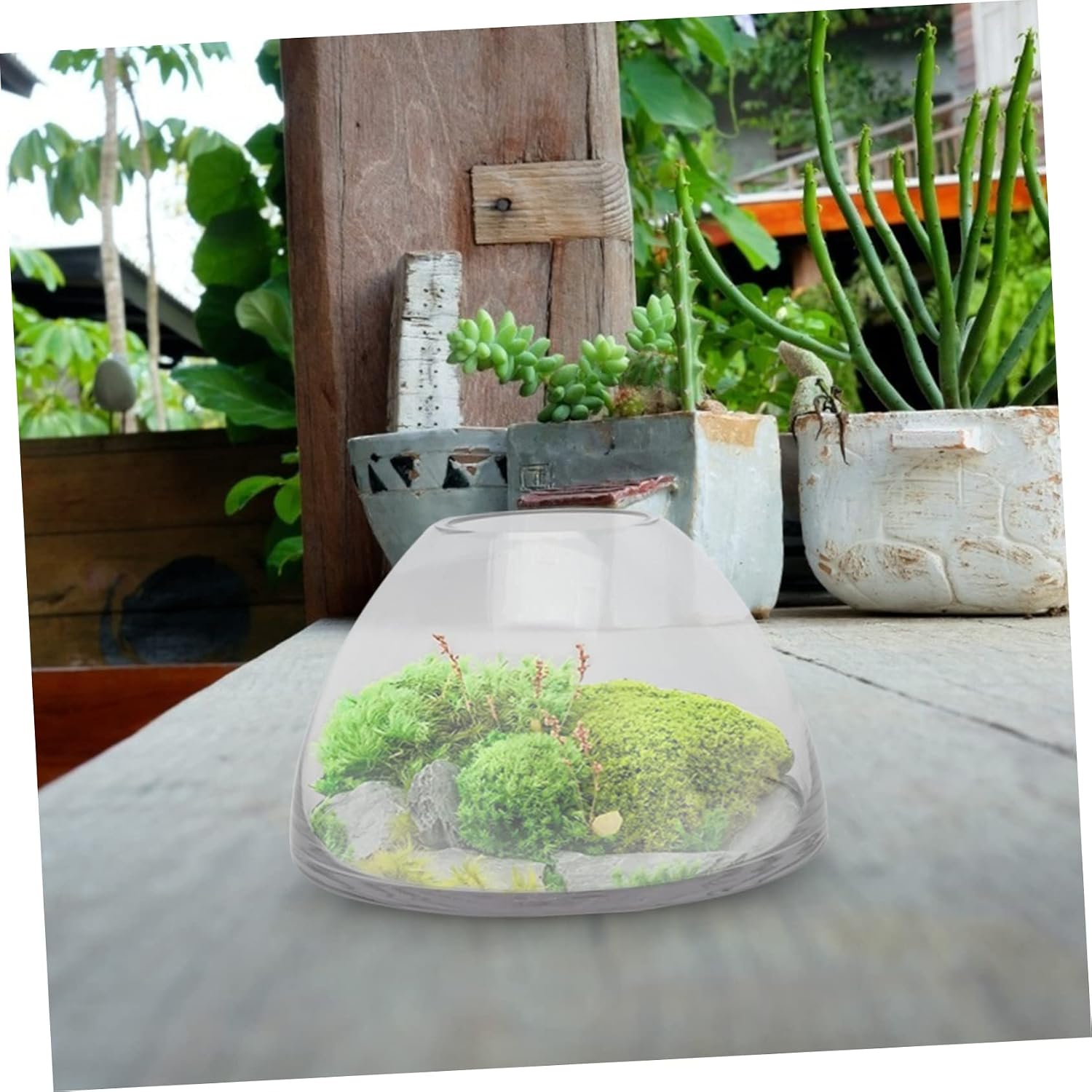 SUPVOX Glass Micro Landscape Bottle for Plant Self Watering Decorative Terrarium Jar