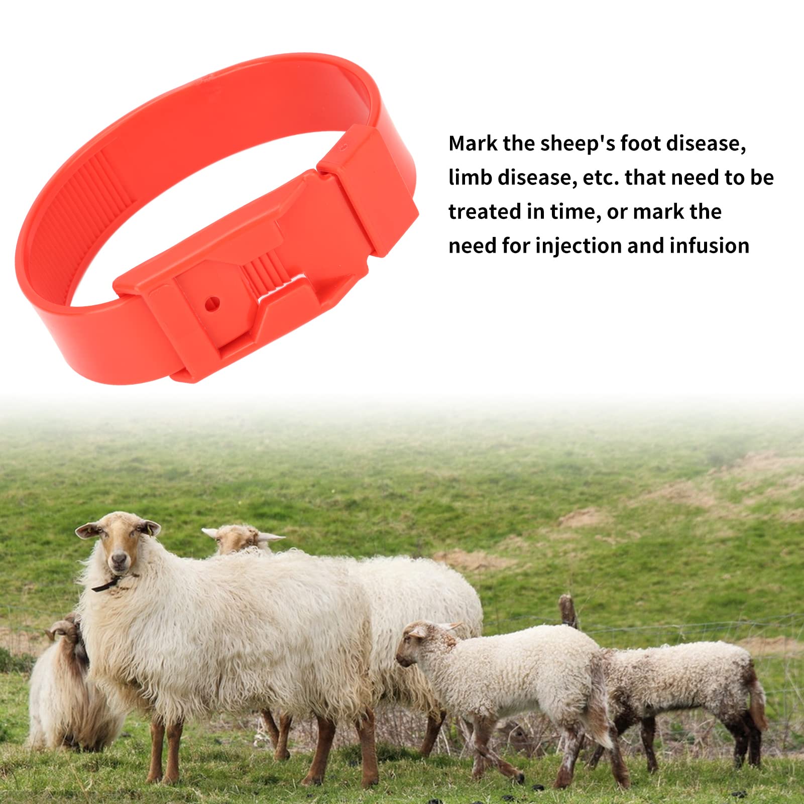 Colliers d'Identification pour Chèvres et Moutons, Bandes de Marquage de Bétail, Rouge, 36 cm, 10 Pièces, pour Petits Animaux de Ferme