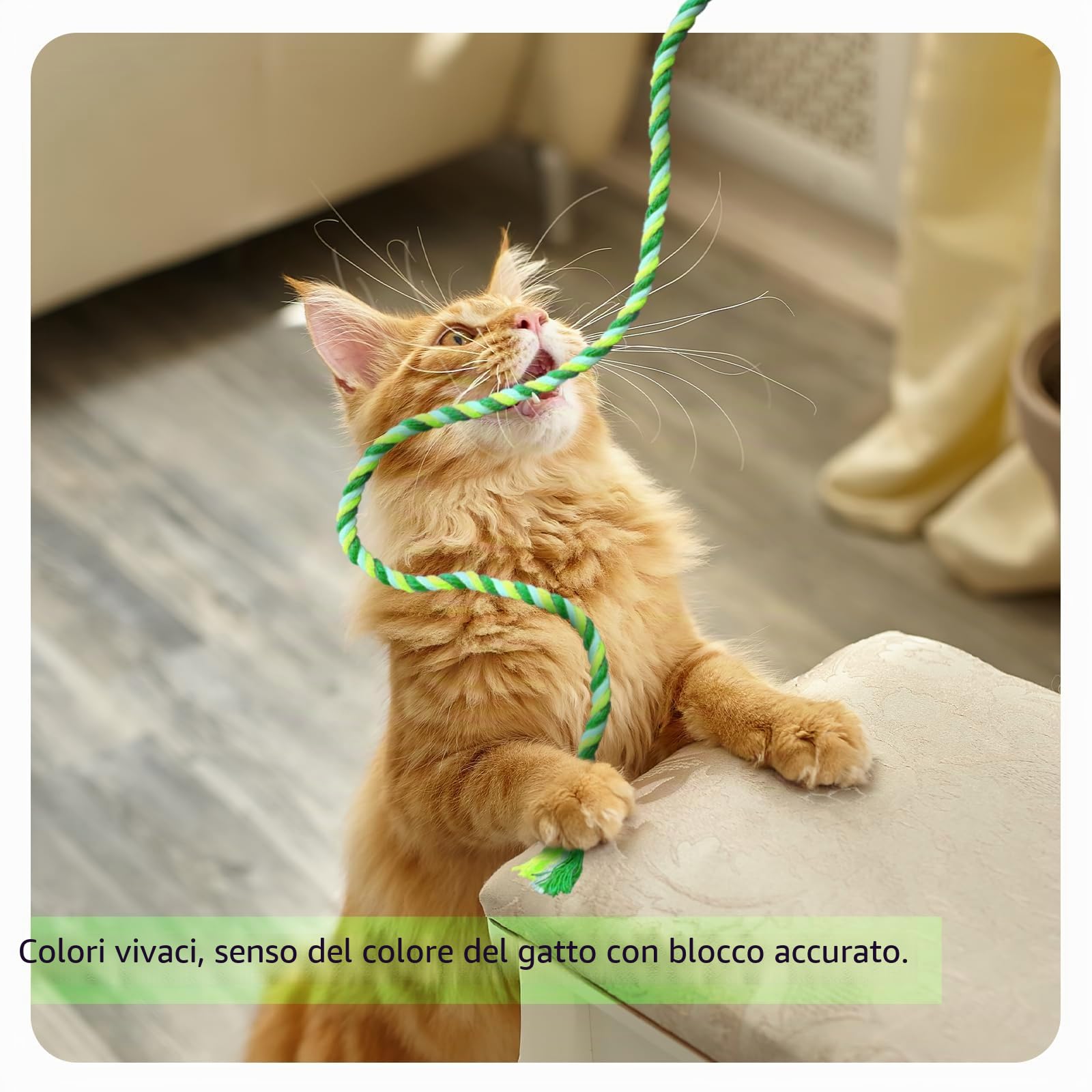 6 Pezzi Bacchetta per gatti, giocattolo interattivo per gatti, bacchetta interattiva, giocattoli interattivi per gatti nastri colorati in tessuto giocattolo per gatti
