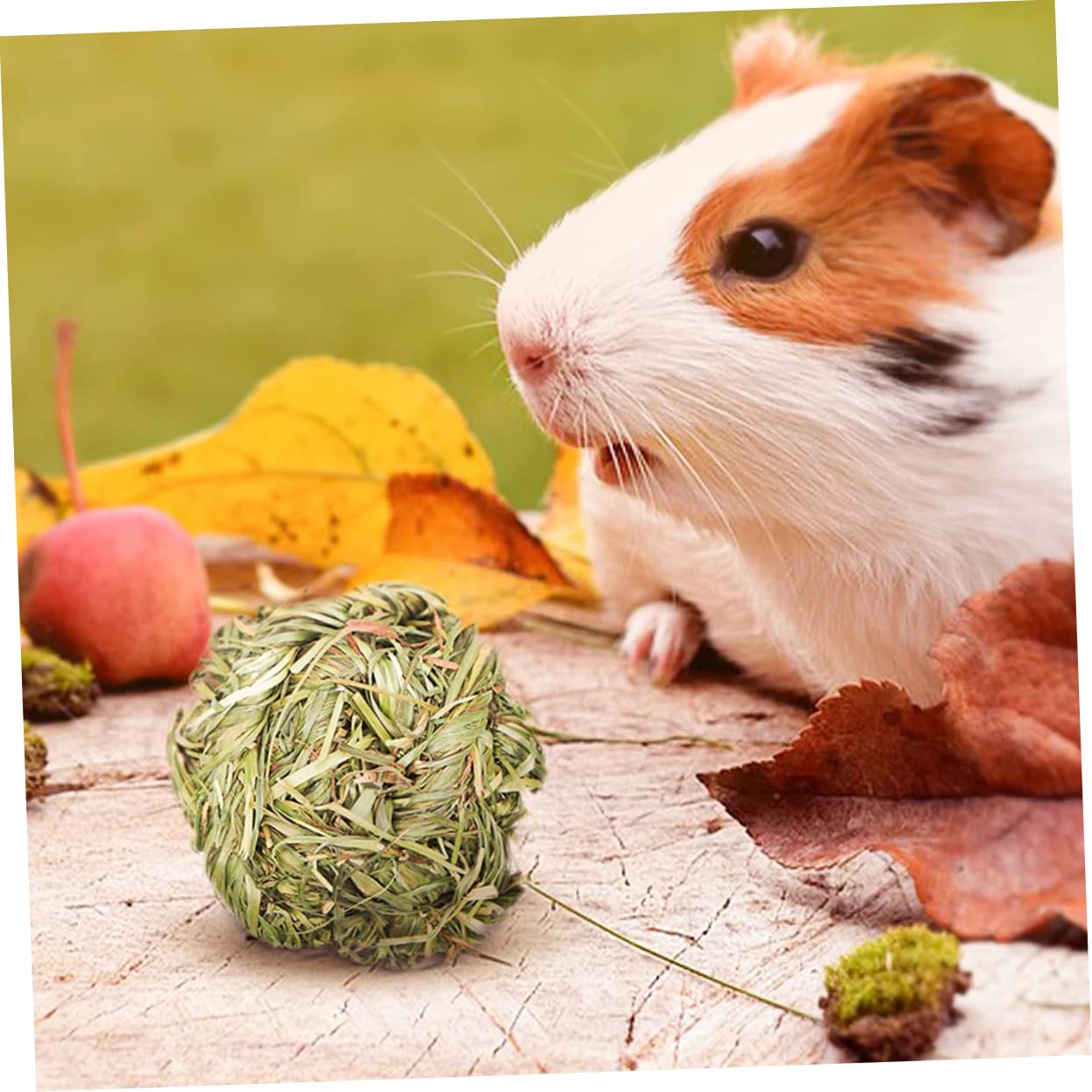 BESPORTBLE 27pièces Jouets à Mâcher pour Rongeurs Accessoires Herbe pour Chinchillas Et Cobayes De Et Anneaux à