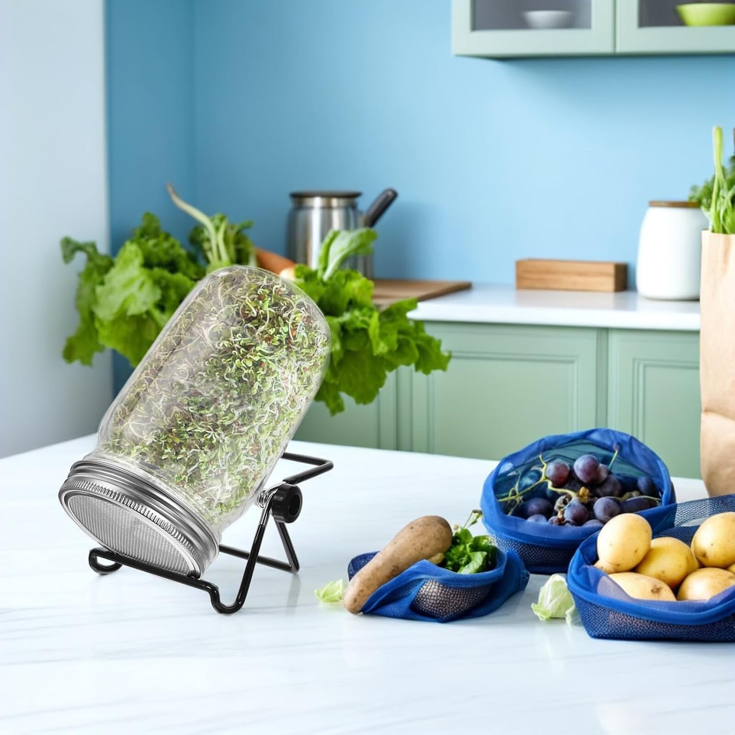 Mipcase Wide Mouth Seed Sprouting Mason Jar Kit with Stainless Steel Lids and Stand for Bean Sprouts Germination, 32oz Sprout Jar Set Without Tray, Indoor Seed Cultivation Set