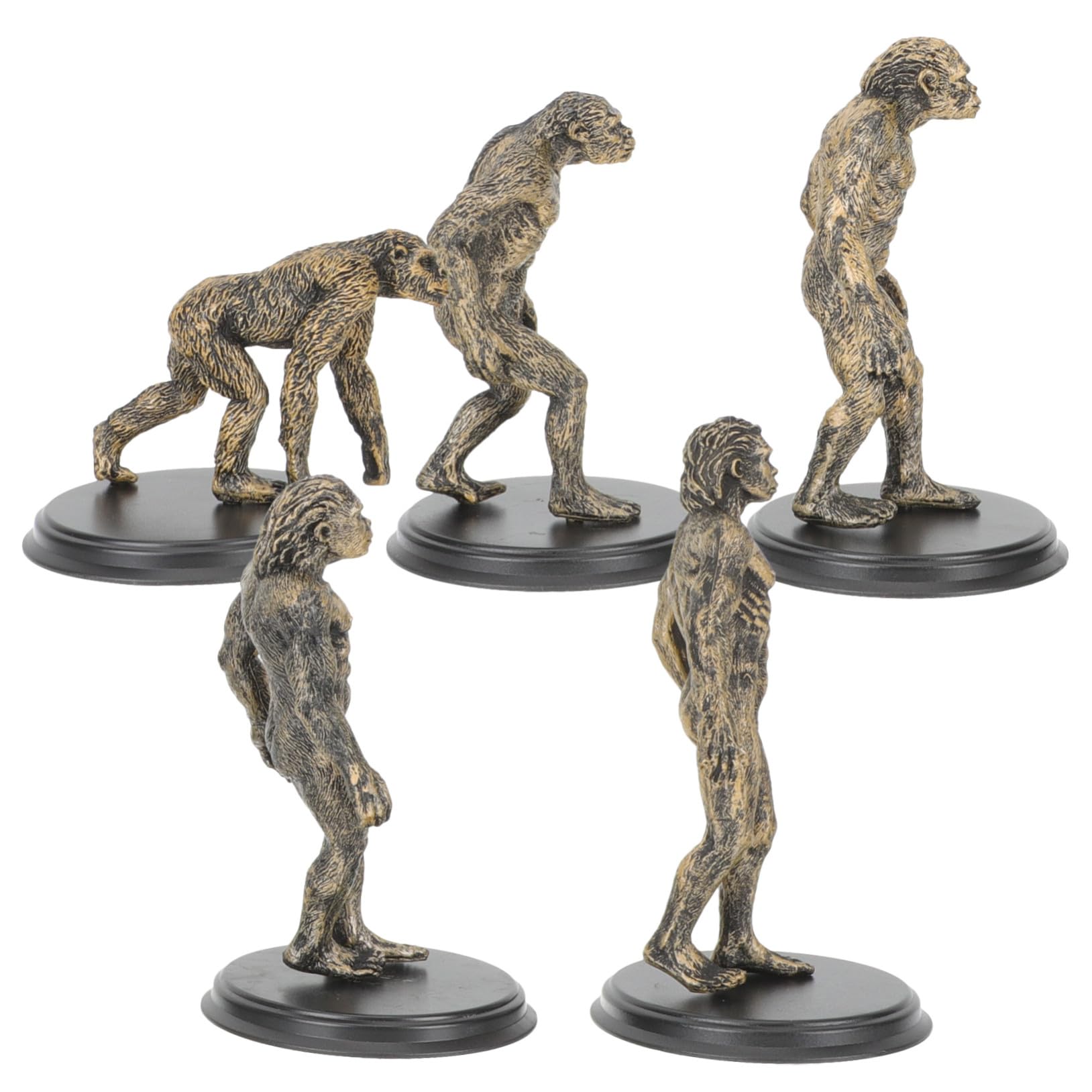 Juego Educativo de Figura de Plástico con Acabado Fino y Apariencia Atractiva para Escenarios de Enseñanza, Set de 5 Piezas para Niños