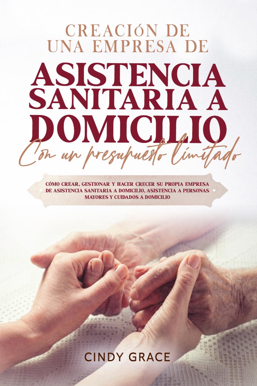 Creación De Una Empresa De Asistencia Sanitaria A Domicilio Con Un Presupuesto Limitado