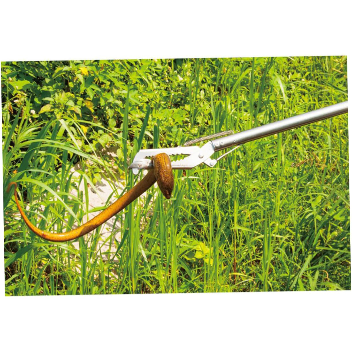 Selbstverriegelnde Schlangenklemme aus Edelstahl mit Langem Griff | 1 Stück, 1 Meter Länge, Silber, Rostfrei, für Präzises Greifen und Sichere Kontrolle