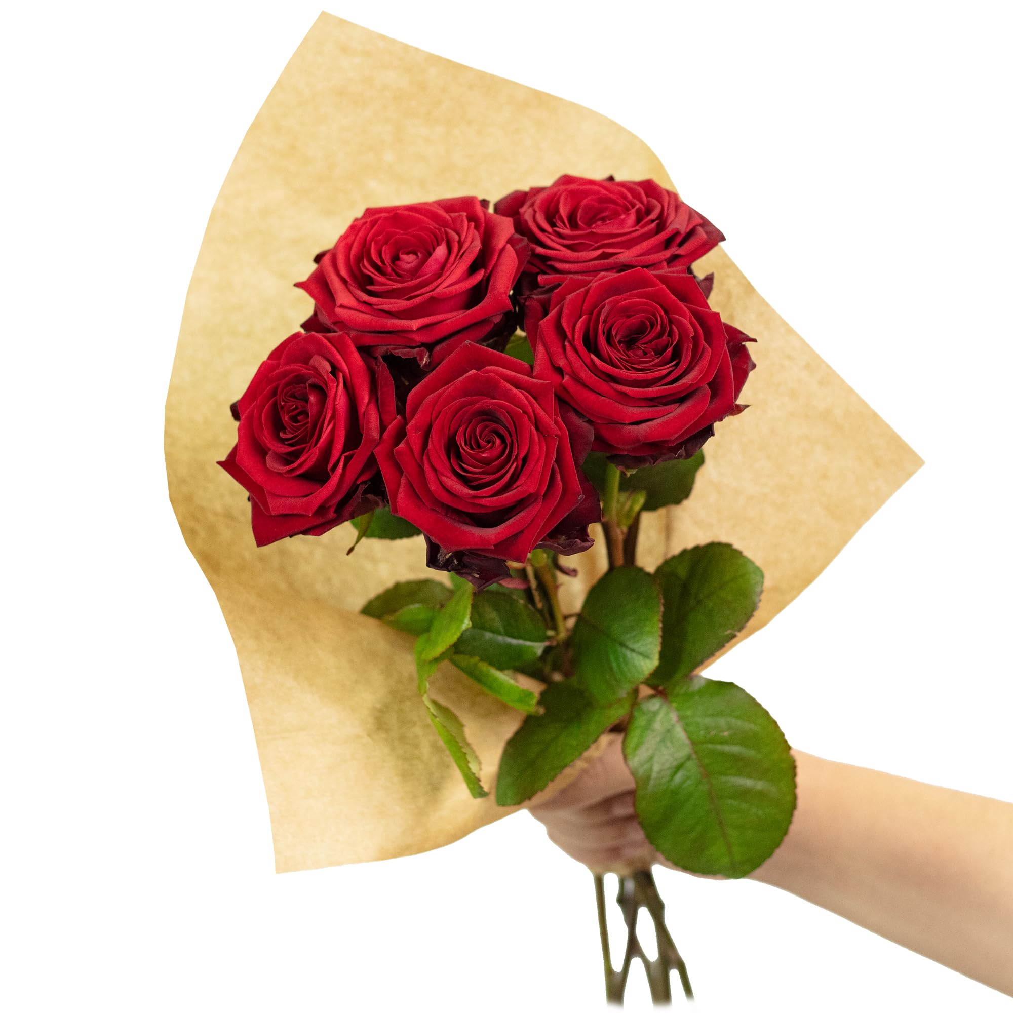 Bouquet de roses fraîches Red Passion 5 tiges 50 cm