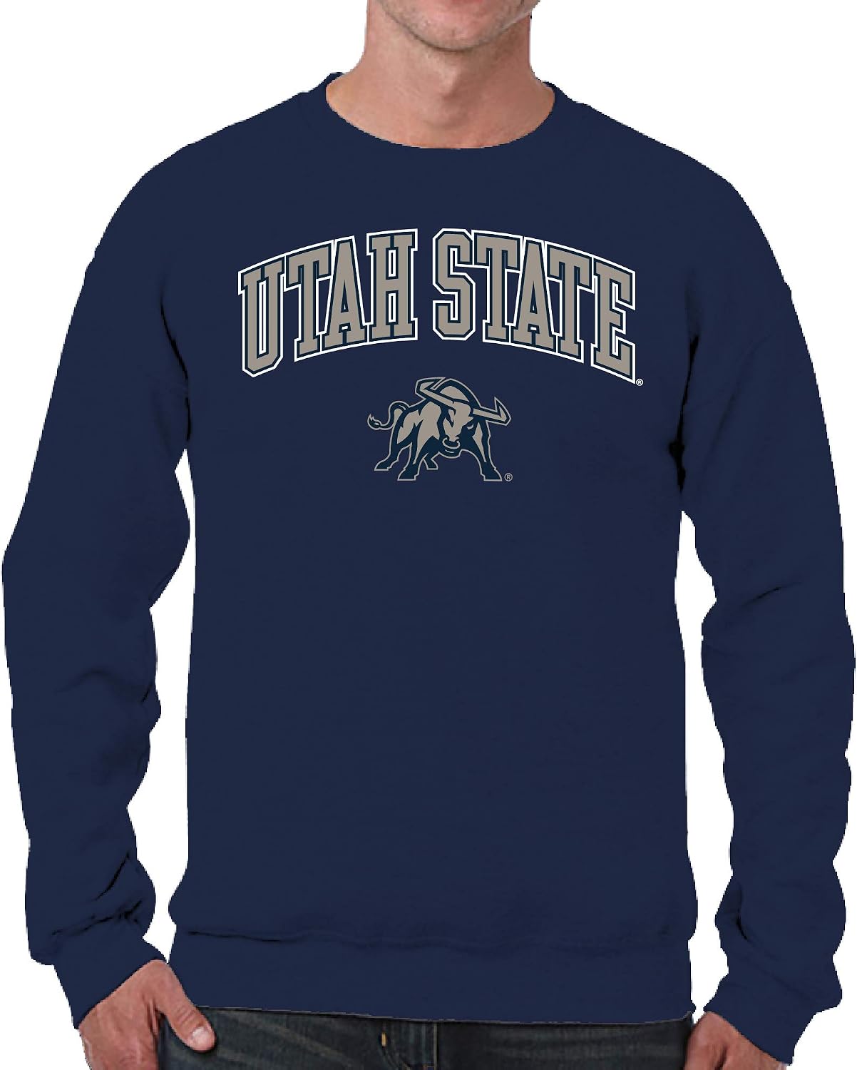 Campus Colors Arch & Logo Gameday Crewneck Sweatshirt - Navy, Unisex, Officially Licensed - View #14