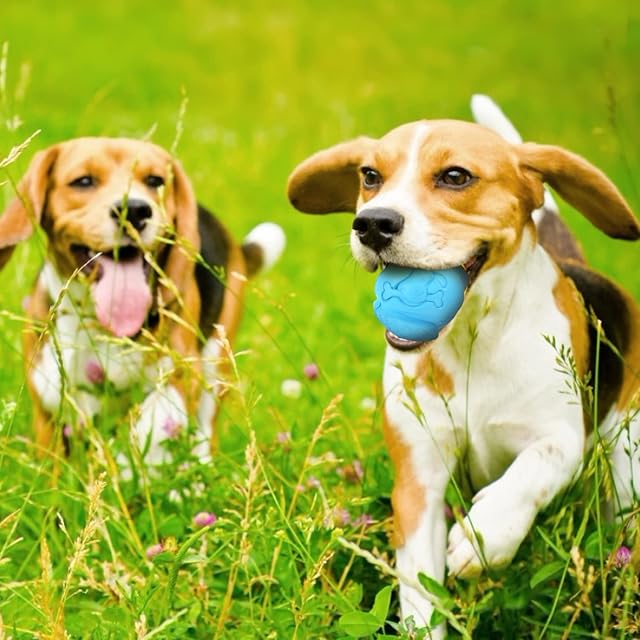 Foto 8 de 8 de Nobleza Pelota Perros, Pelota de Juguete para Perros, Dispensador de Aperitivos Interactivo Mascotas
