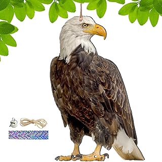 Expel Birds Pendant | Garden Protector Bird Repeller Pendant | Decorative Scarer Pendant with Bell, Fake Bird Scare Device, Waterproof Patio Balcony Garden Decorations Ctris