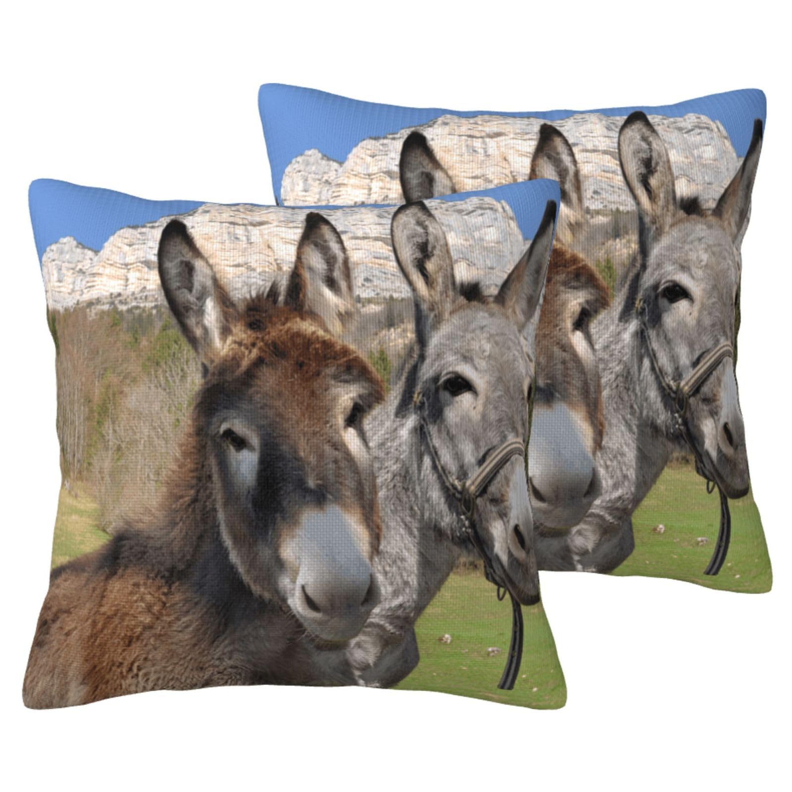 Housses de coussin ânes drôles en simili lin (lot de 2) pour déco de salon