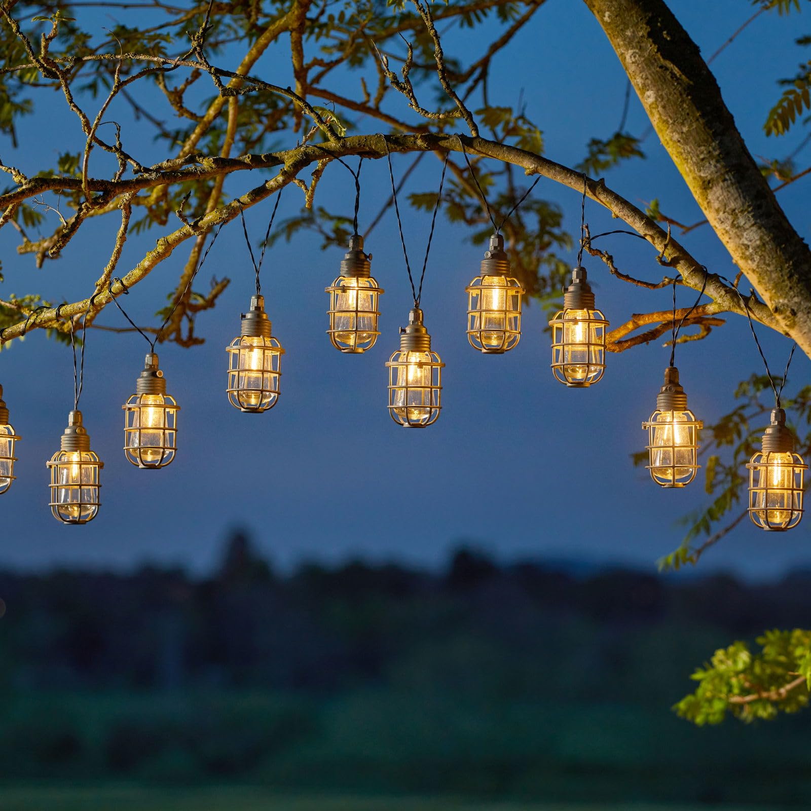 Smart Garden 365 Solar 10 Anglia String Lights 20L