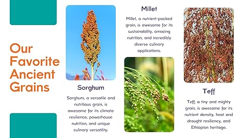 Vista 5 de Snacktivist Foods - Sin gluten, vegano, mezcla para panqueques y waffles, sin OMG, sin huevos, sin lácteos, 23 onzas