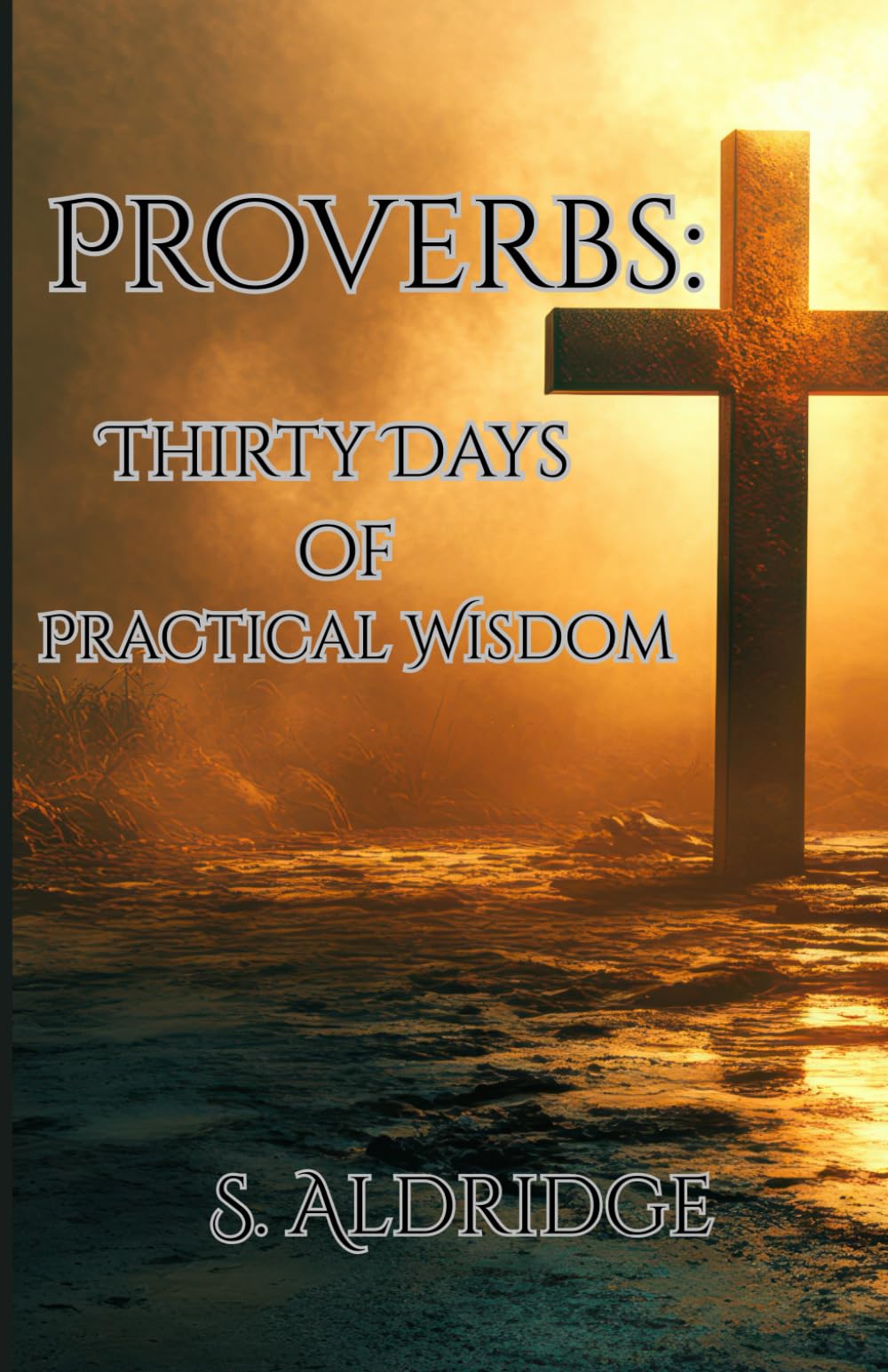 Proverbs: Thirty Days of Practical Wisdom: A CSB devotion for steady, everyday faith