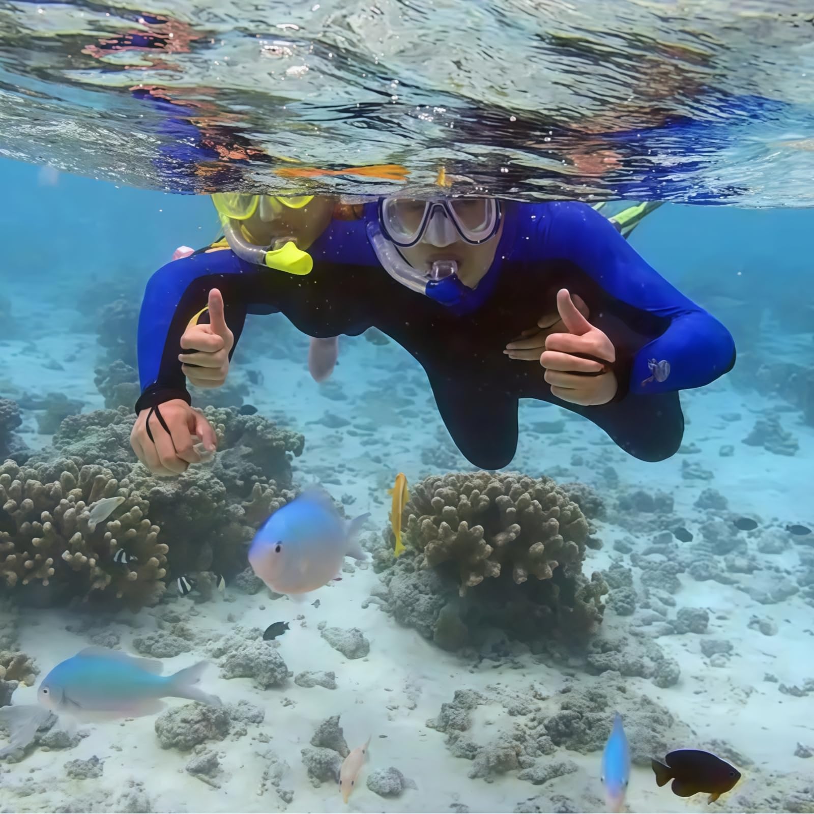 Juego de esnórquel para adultos, con gafas de buceo y tubo seco, unisex para adultos