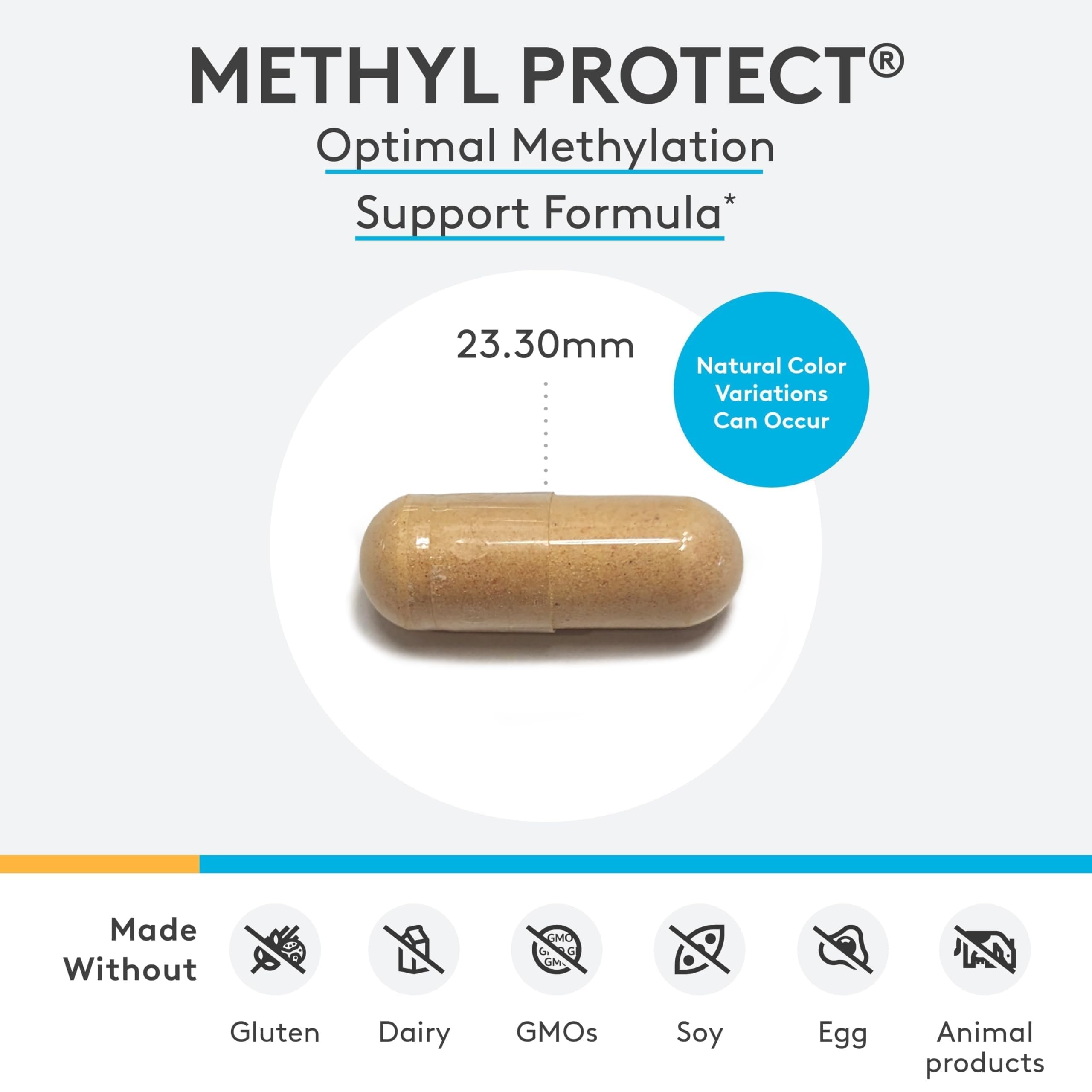 XYMOGEN Methyl Protect, 60 Capsules — Amazon image 7