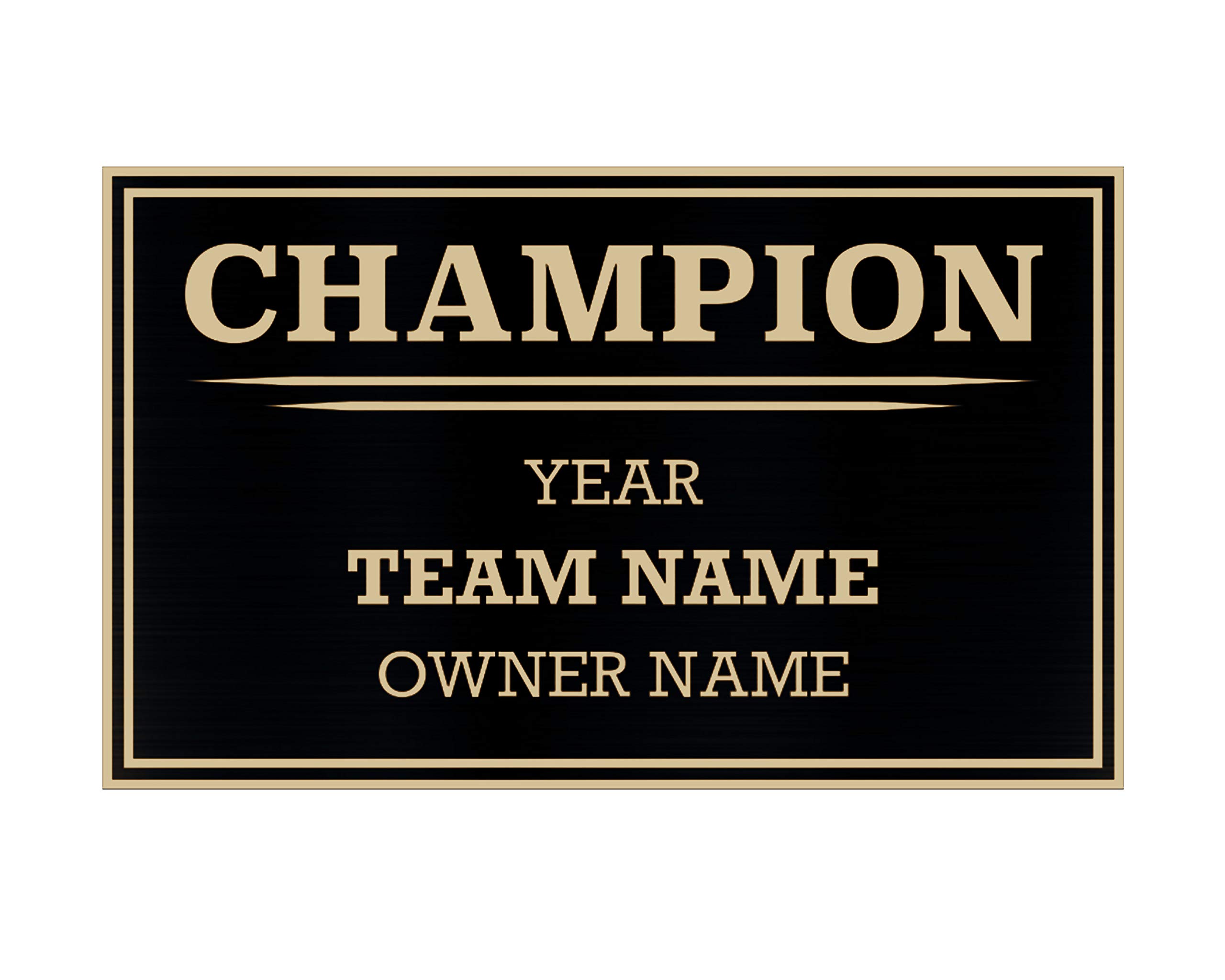 TrophySmack 3 Column Single Winner League Plate - Customizable Engraved League Plate - Fantasy Football Trophy Champion Award Plate (Silver or Black)