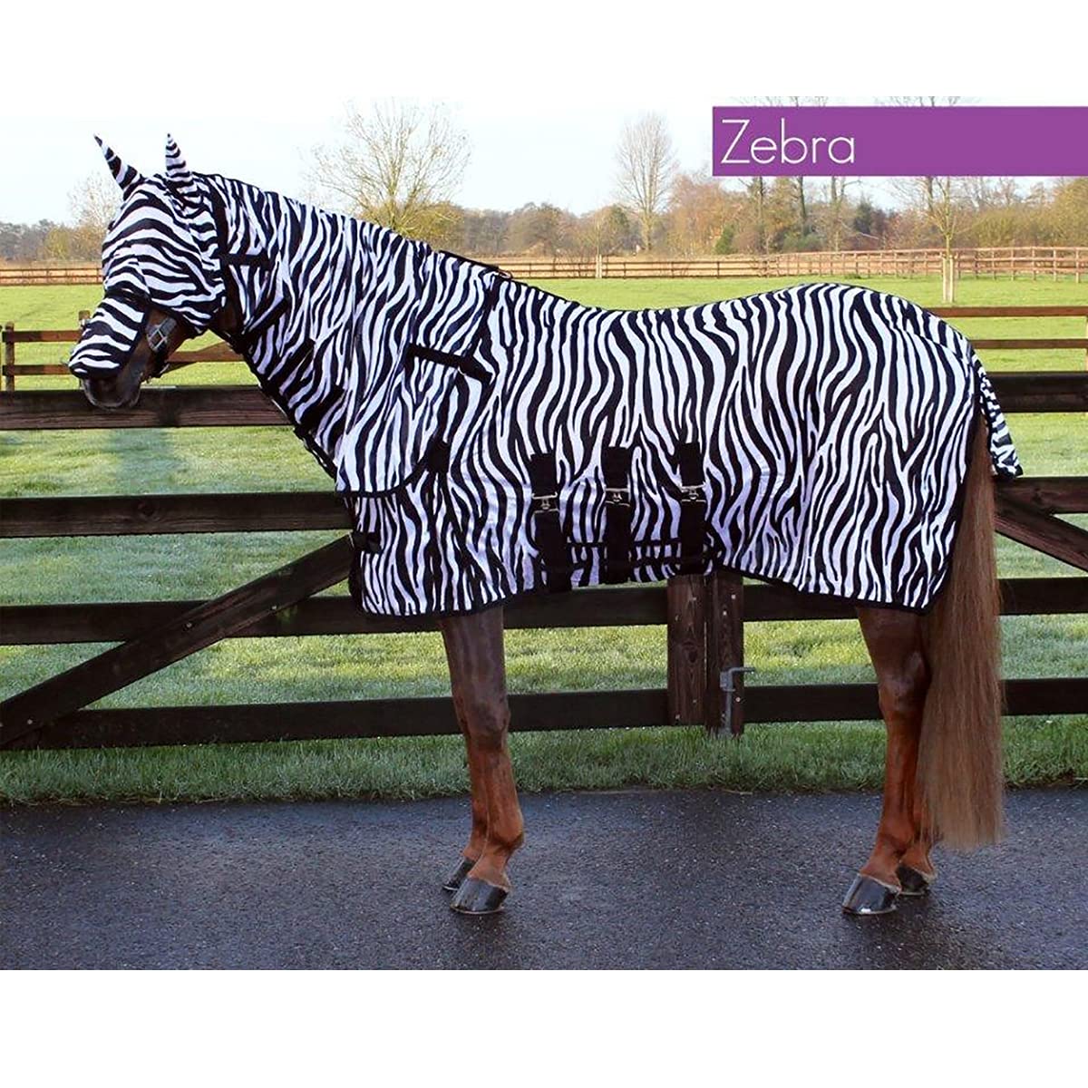 Couverture Anti Mouche avec Couvre-Cou et Bonnet pour Cheval QHP