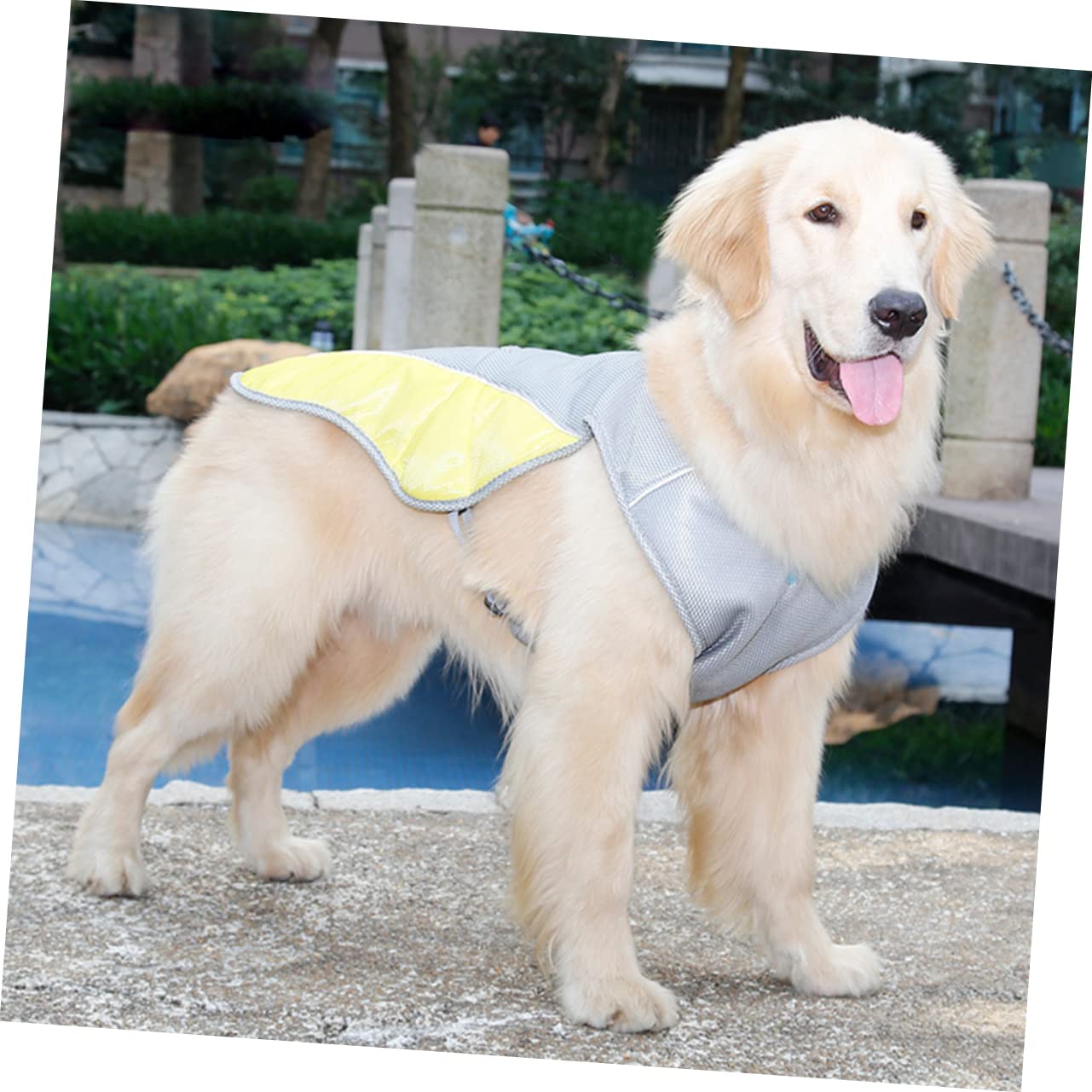 SUPVOX 3pièces Gilet Rafraîchissant pour Chien Veste Reflechissante Été s Gilet De Refroidissement Respirant pour Animaux De Compagnie