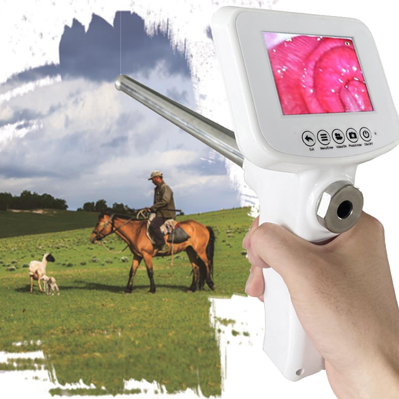 Sperme AI Gun avec caméra HD pour réussir l'insémination des bovins sans blessure