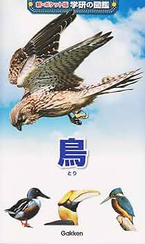 712DlFvF67L._AC_UF350,