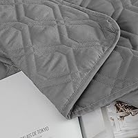 Vista 106 de Ameritex - Manta impermeable para cama de perro, manta reversible para muebles, cama, sofá