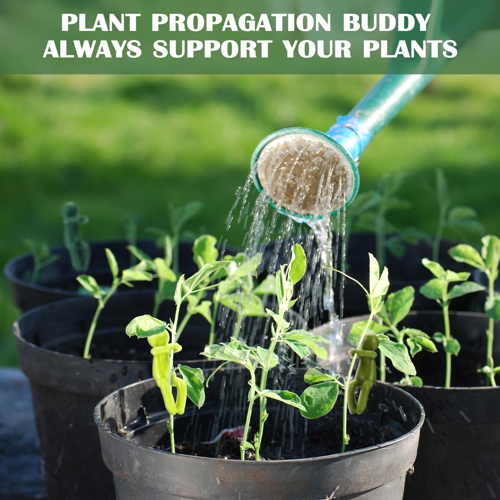 Amazon.com : FAQUSA Plant Propagation Friends, Leaf Buddy Plant Support for  Sprouts, Stems, Shoots and Cuttings, Growth Tool for a Plant Propagation  Station Indoor Garden Funny Gift for Plant Lover (3, Yellow) :