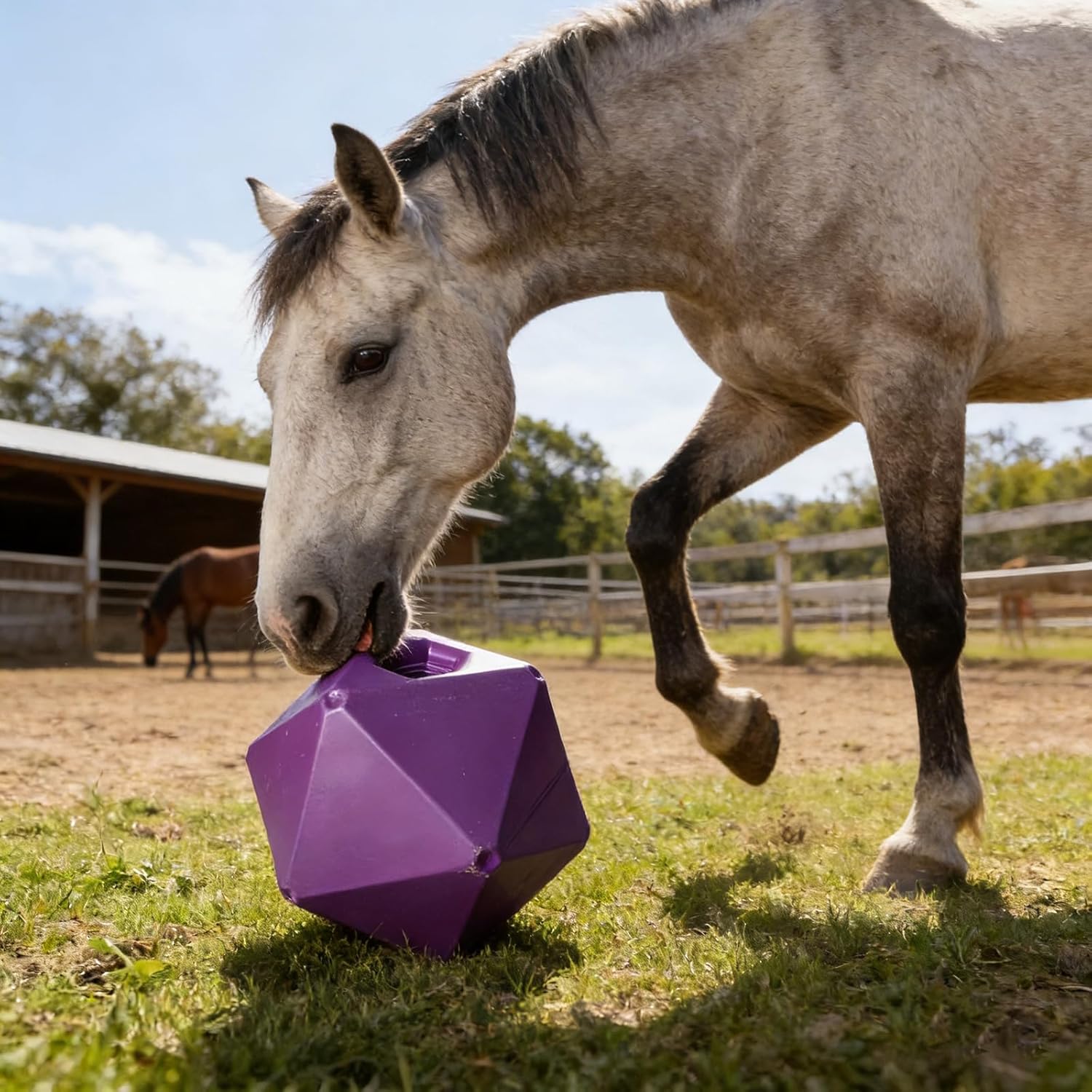 9 in / 23 Cm Blue Horse Pasture Grazing Ball, Food-Safe Pp Equine Treat Ball Feeder Toy, Stress Reliever for Boredom, Enrichment, Entertainment