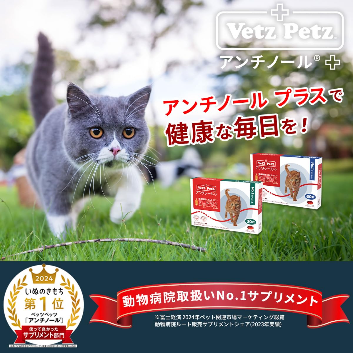 Amazon | Vetz Petz 公式 アンチノール プラス 60粒 正規品 猫用 猫 