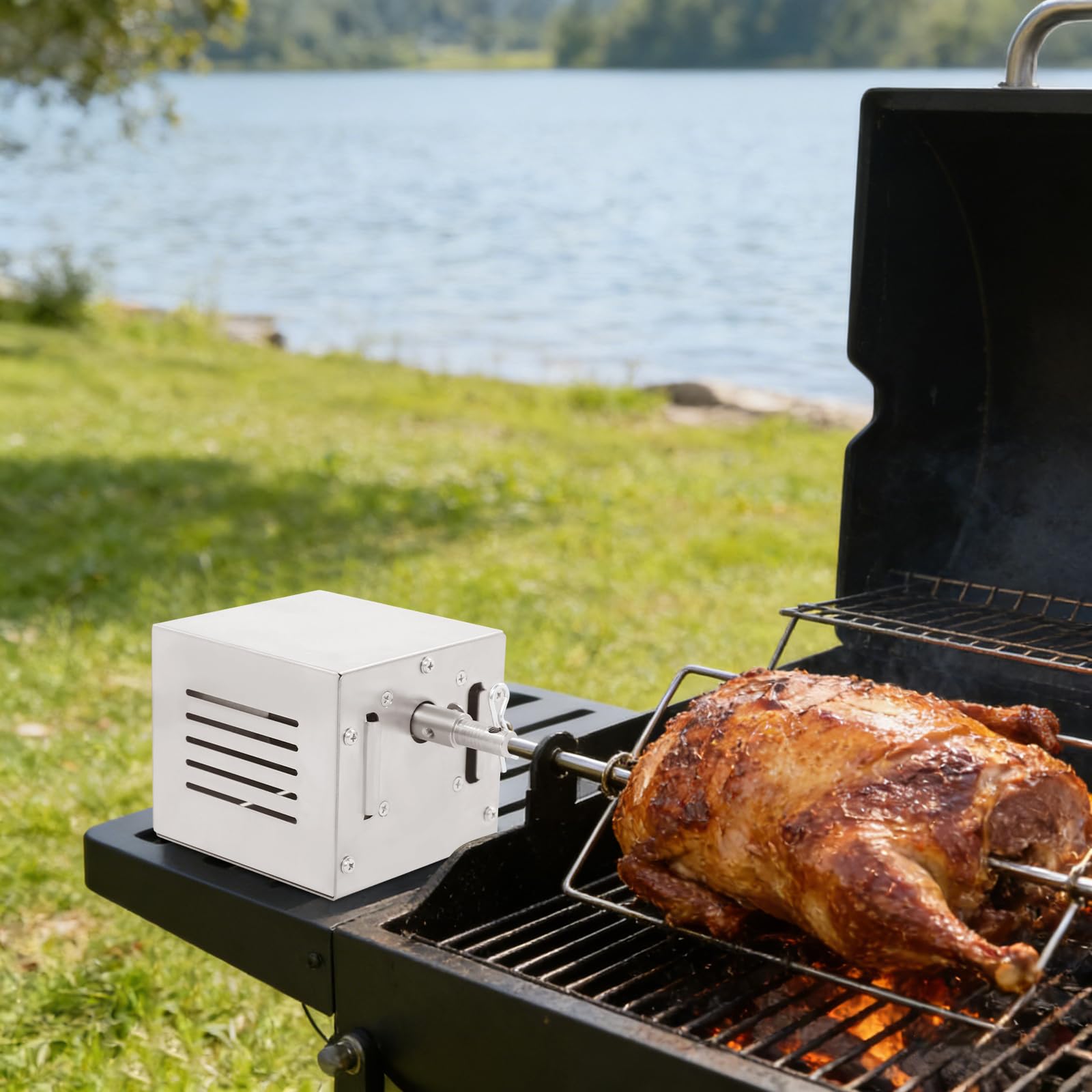 Motore per barbecue in acciaio inox, 25 W, 220 V, spiedo da 5 cm, motore per arrosto per pollo e pesce, argento