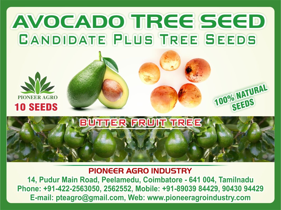 See full amazon price history chart for Avocado Tree Seed (10 Seeds) Avocado Tree Seed (10 Seeds) (B07C8LR6Z9) Amazon Price History, Amazon Price Tracker