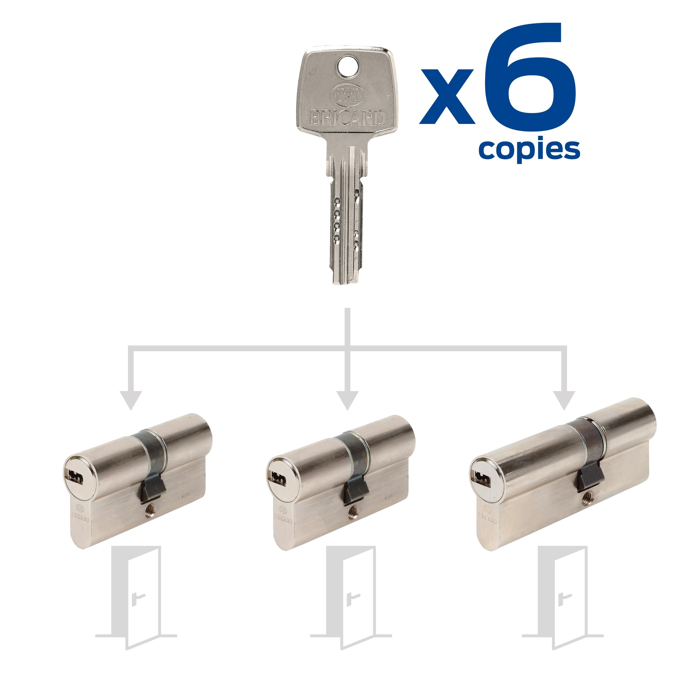 Pack de 3 cylindres Bricard Astral s'entrouvrant: 2x 30+30, & 1x 30+40 avec 6 clés.