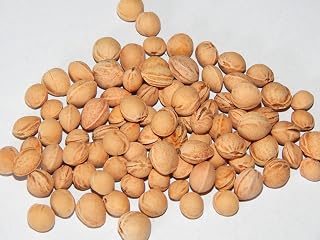 900 g pestki wiśni (9,44 euro/kg z podatkiem VAT) prane (bez środków chemicznych) do napełniania poduszek z pestkami wiśni i do terapii cieplnej