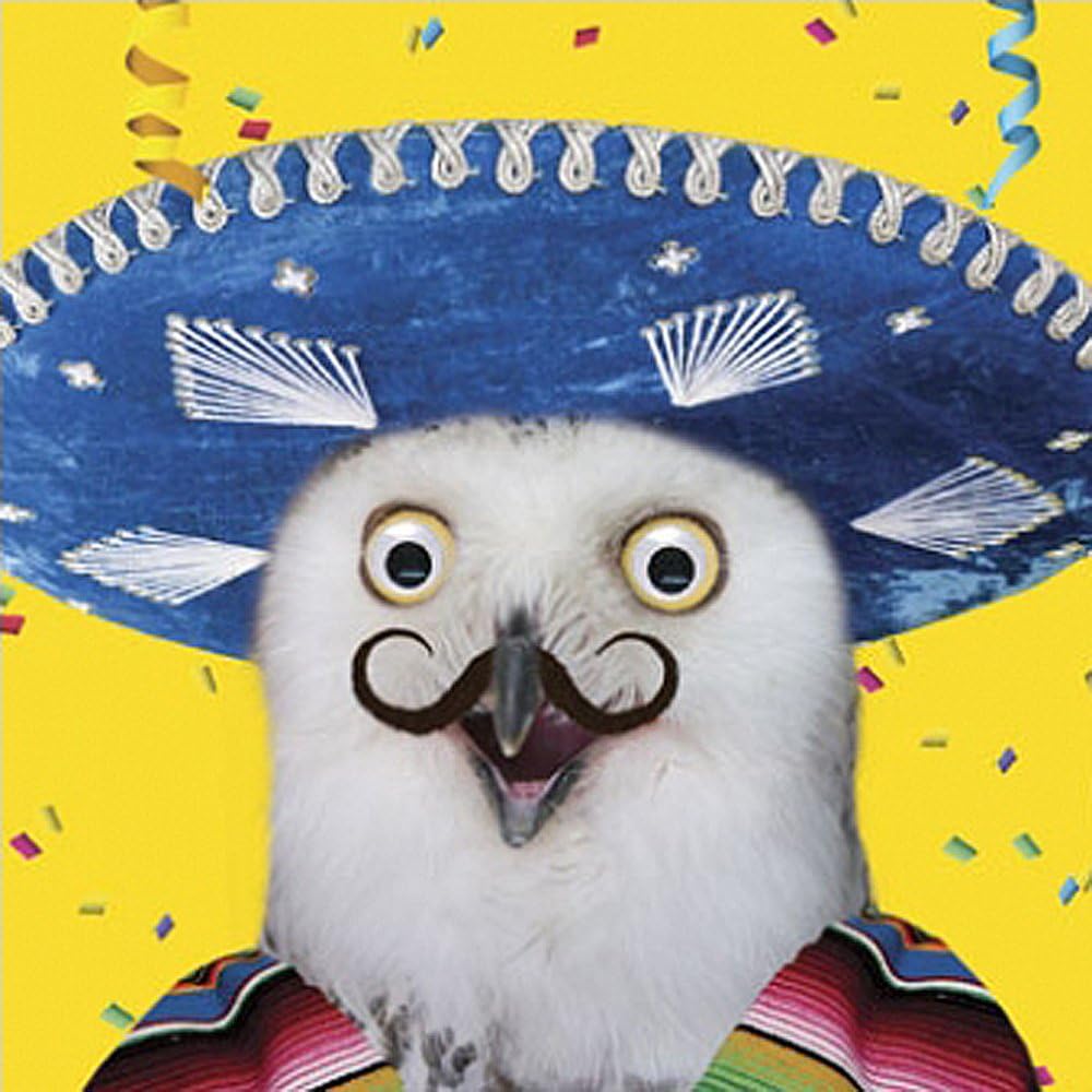 Funny Birthday Card Owlmigo - Goggly 3D Moving Eyes