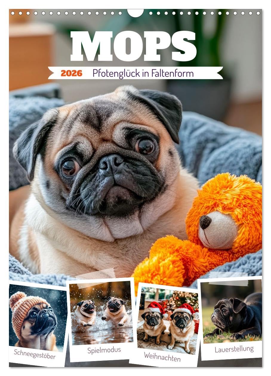 MOPS paw happiness in folded form UK-Version (Wall Calendar 2026 DIN A3 Portrait), CALVENDO 12 Month Wall Calendar โ image 1
