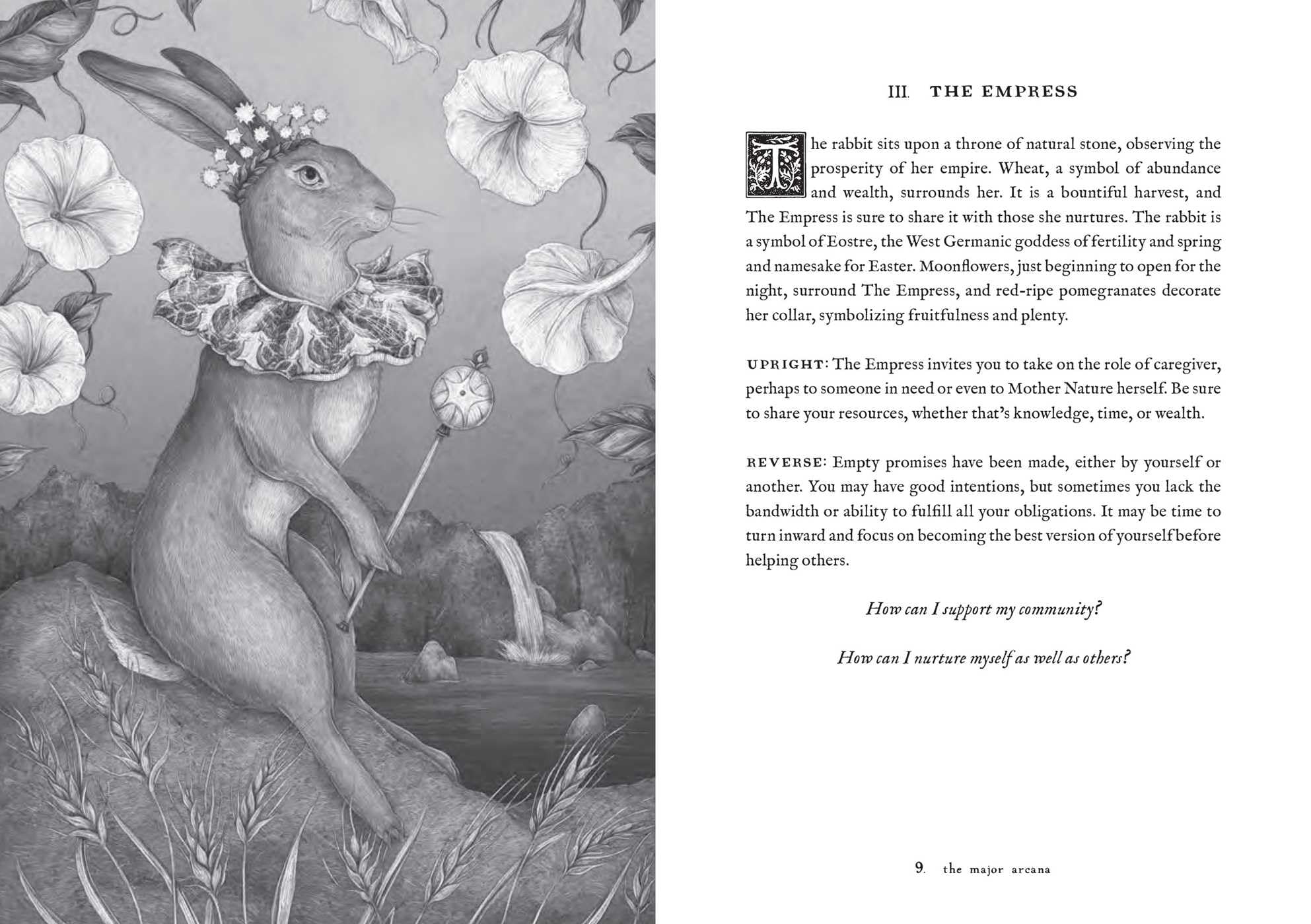 Tarot of the Woodland Wardens: 78-Card Deck & Guidebook