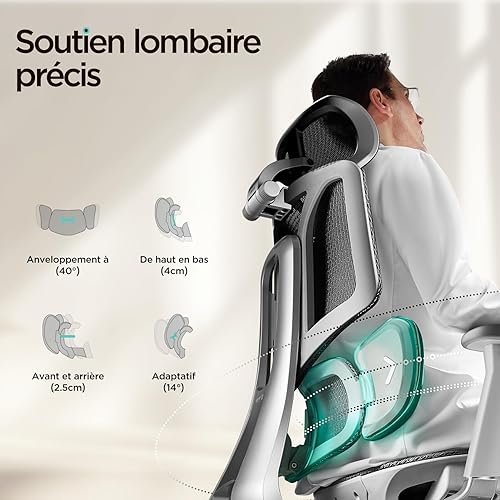 Hbada E3 Air Chaise de Bureau Ergonomique Fauteuil de Bureau - Soutien Lombaire Dynamique 3 Zones, Appui-Tête 3D Réglable, Accoudoirs 3D Réglables, Pivotant sans Repose-Pieds, Gris - 2