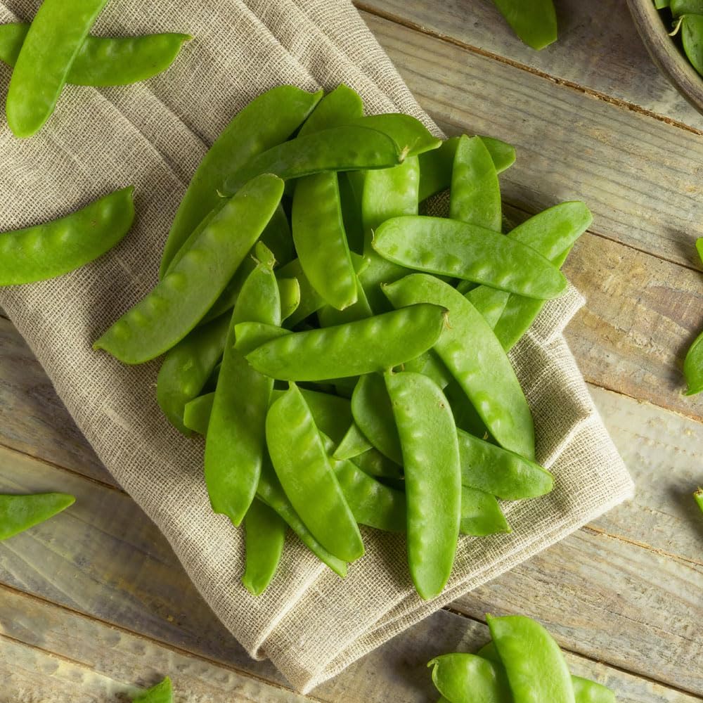 Sugar Pea ‘Carouby’ Seeds – Vigorous Climbing Mange Tout – Large Flat Edible Pods – Heritage Italian High Yield Variety