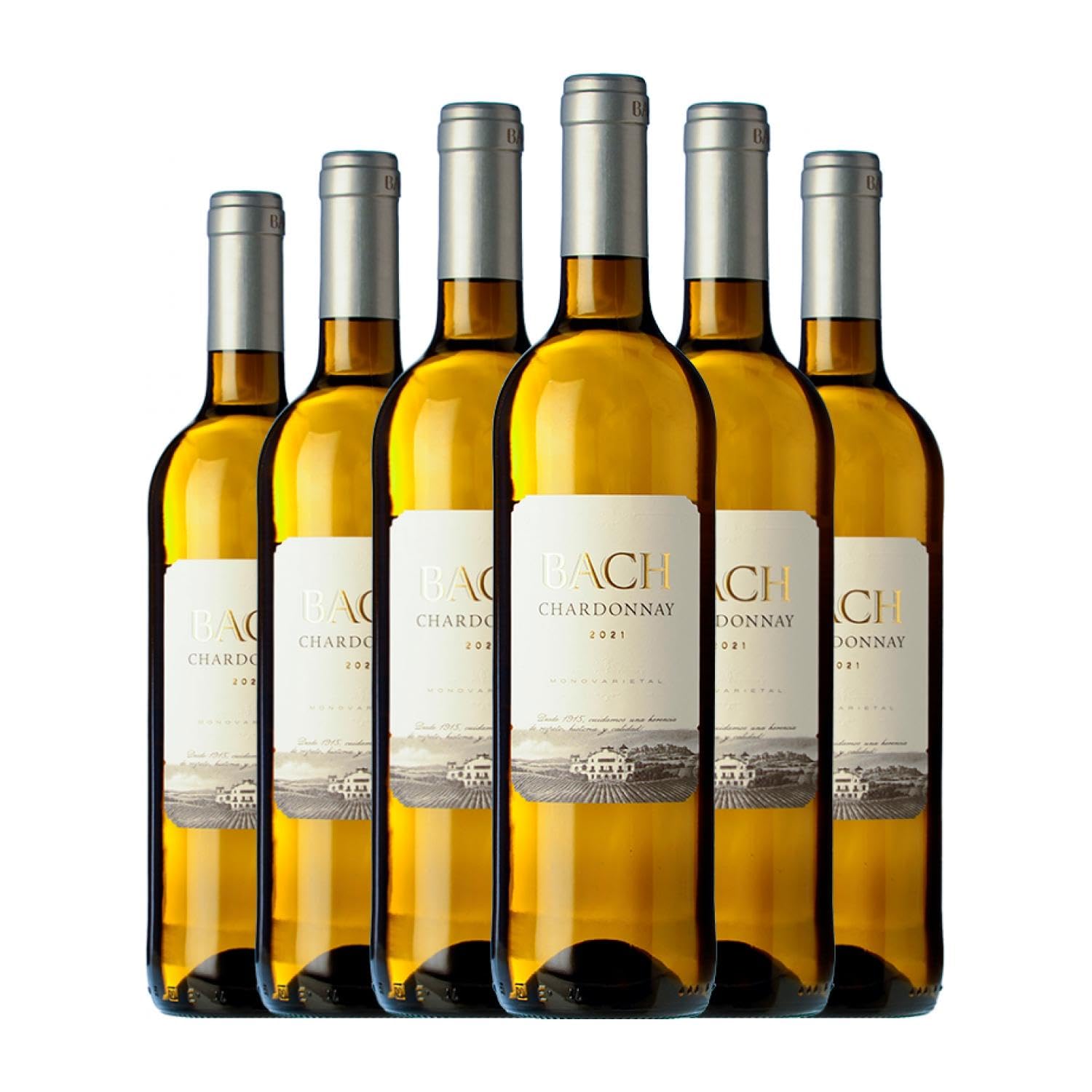 Bach Chardonnay Penedès 75 cl Vino blanco (Caja de 6 Botellas de 75 cl)