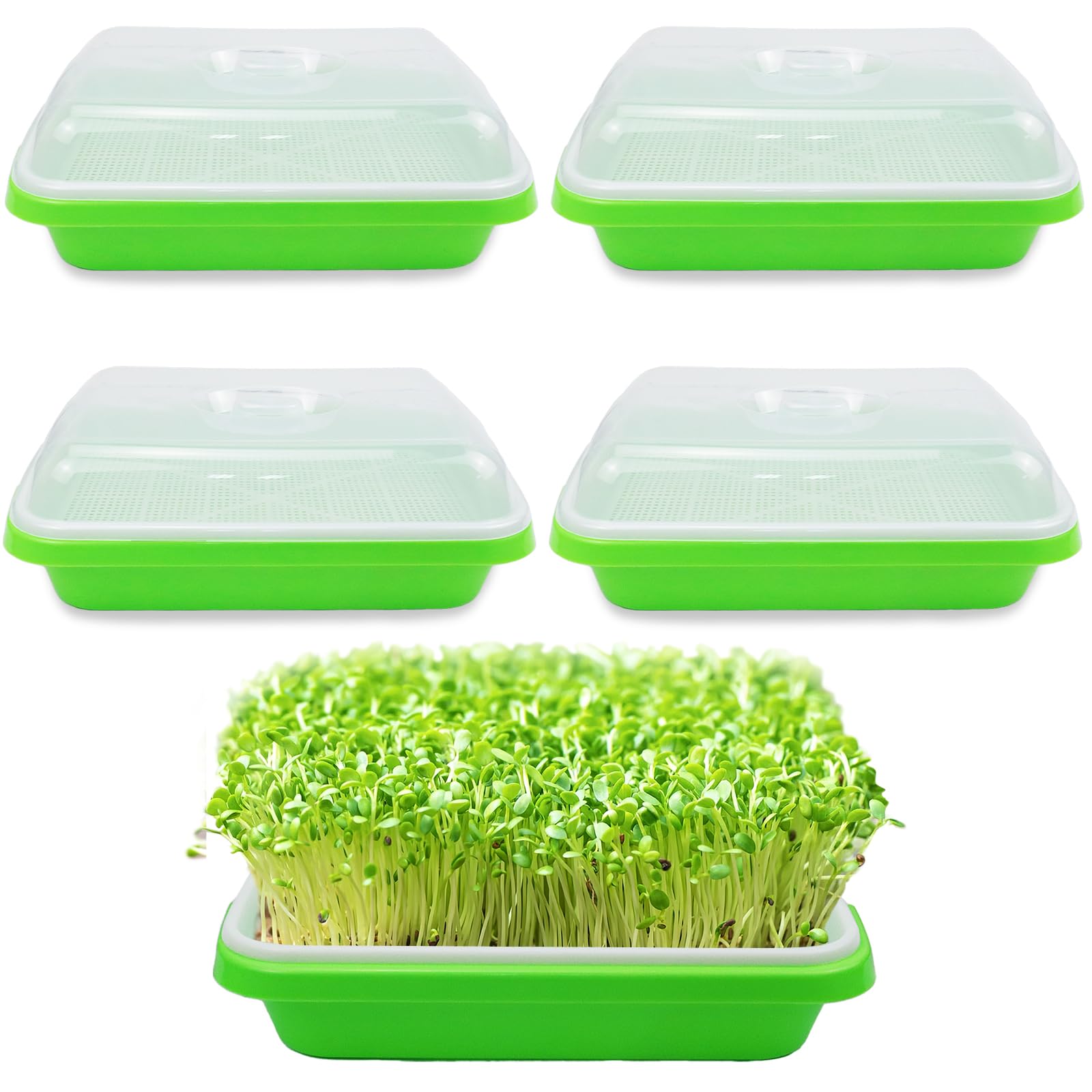 5-Pack Seed Sprouter Tray Microgreens Growing Kit with Lids Soil-Free Sprouts Growing Kit Big Capacity for Home Office Garden